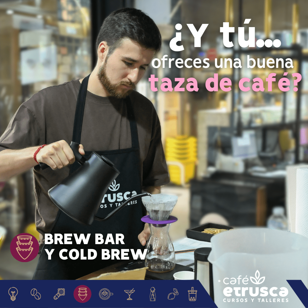 curso de Brew Bar & Cold Brew