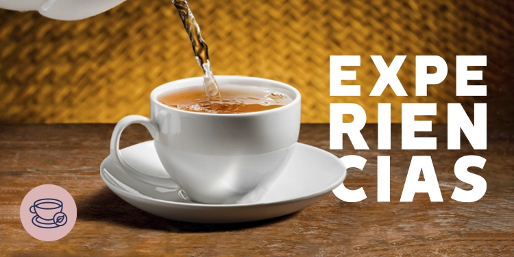 Esta experiencia te ayudará a aprender sobre el origen del té de una manera interactiva...